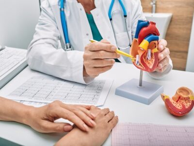 A doctor explains a procedure to a patient using a model of a heart