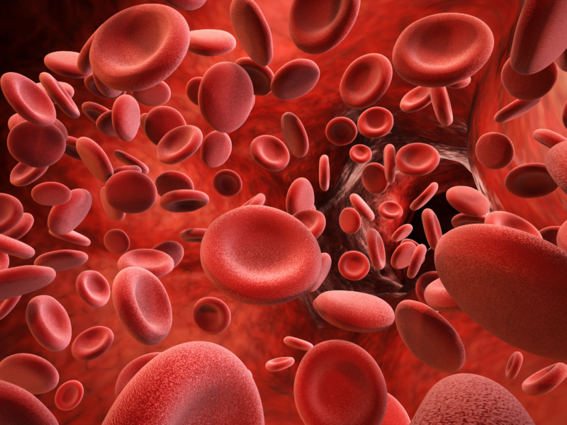 Animated view of dozens of red blood cells flowing through a vein.